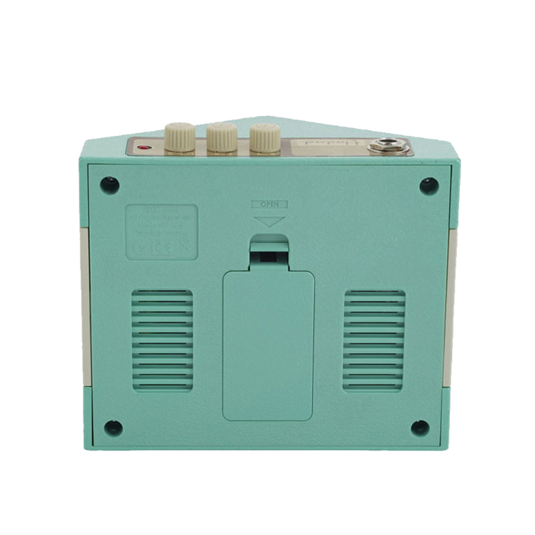 Miniamplificador de Guitarra Hodad II-3