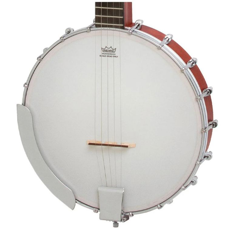 Banjo Acustico EFB ONACH1-2