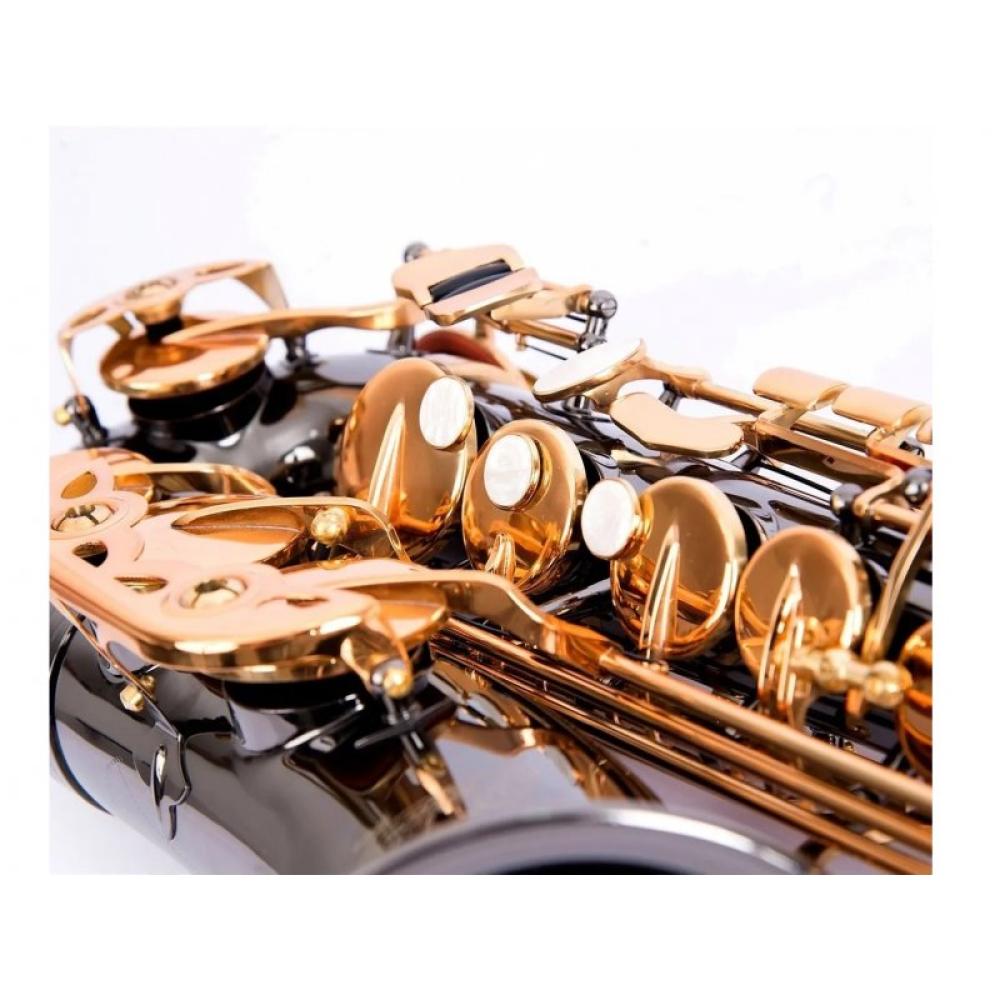 Saxo Alto FT 6430 BN-2