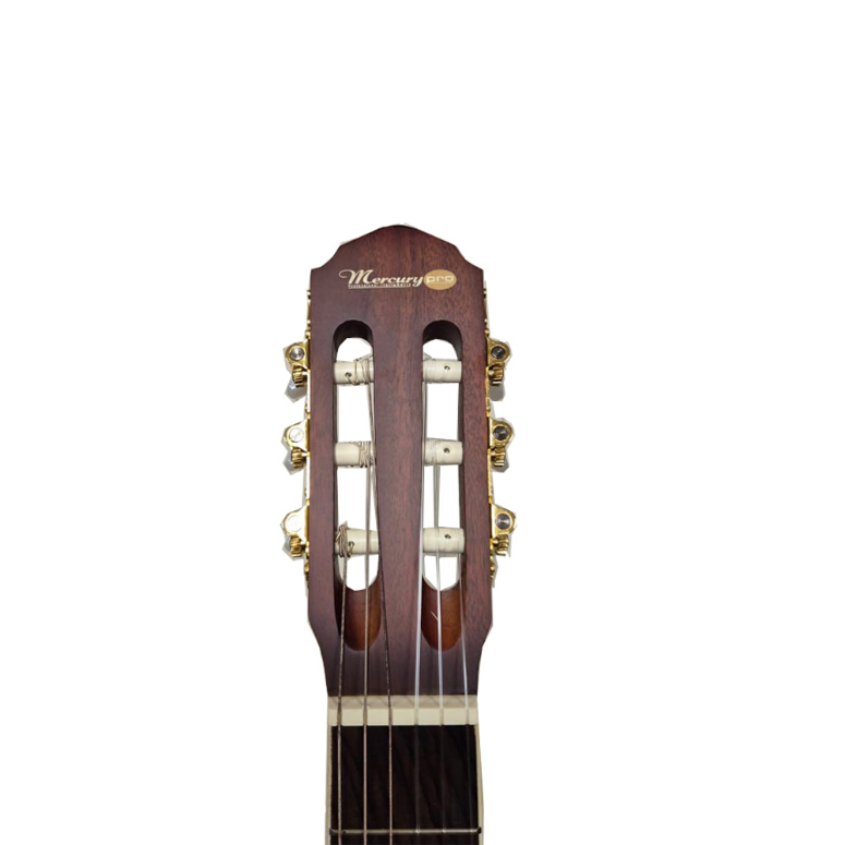 Guitarra Electroacustica MPEA-1 SD-3