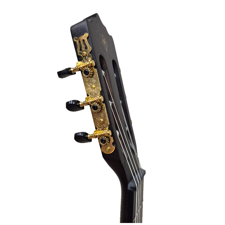 Guitarra Electroacustica PC-17EQ TBK-2