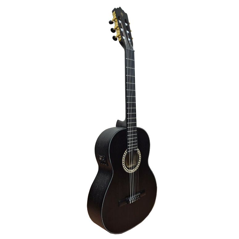 Guitarra Electroacustica PC-17EQ TBK-4