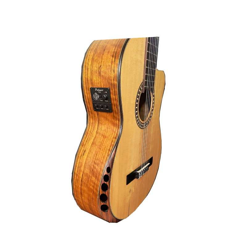 Guitarra electroacustica PC-19 SEQN-1