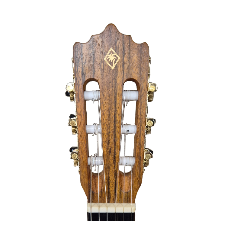 Guitarra electroacustica PC-19 SEQN-2